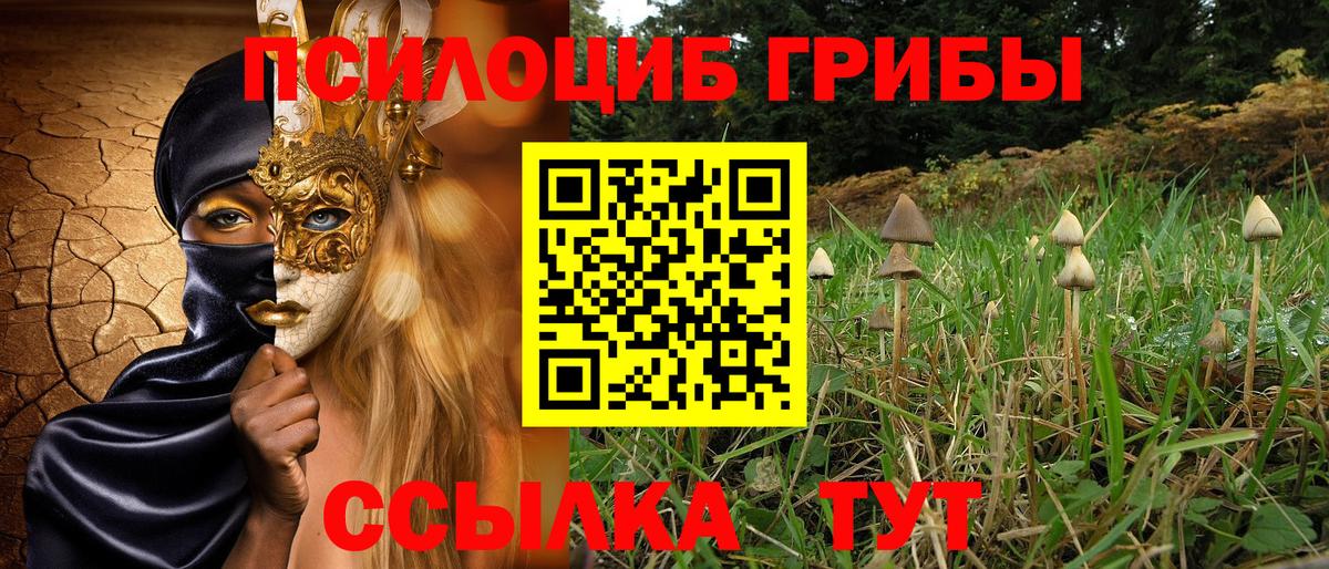 Псилоцибиновые грибы ЛСД  Вход с VPN  Псилоцибиновые грибы Psilocybe  Мценск 